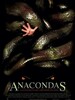 Anacondas : à la poursuite de l'orchidée de sang 