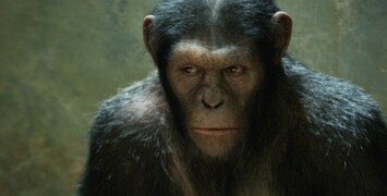 Andy Serkis confirme la suite des origines de La Planète des singes