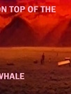 Le Toit de la baleine