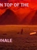 Le Toit de la baleine