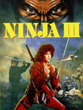 Ninja 3 : la domination