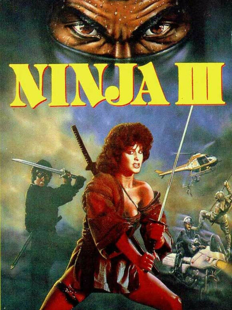 Ninja 3 : la domination
