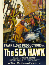 The Sea Hawk