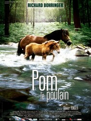 Pom le Poulain