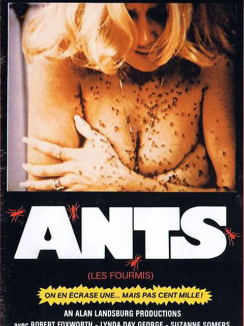 Ants (Les Fourmis)