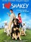 Shakey, un amour de chien