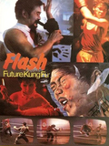Flash Future Kung Fu