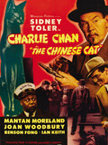 The Chinese Cat