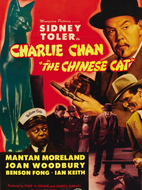 The Chinese Cat
