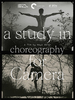 A Study in Choreography for Camera