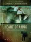 Heart of a dog
