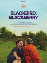 Blackbird, Blackberry