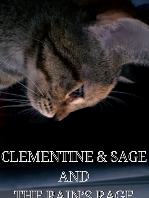 Clementine & Sage and The Rain's Rage