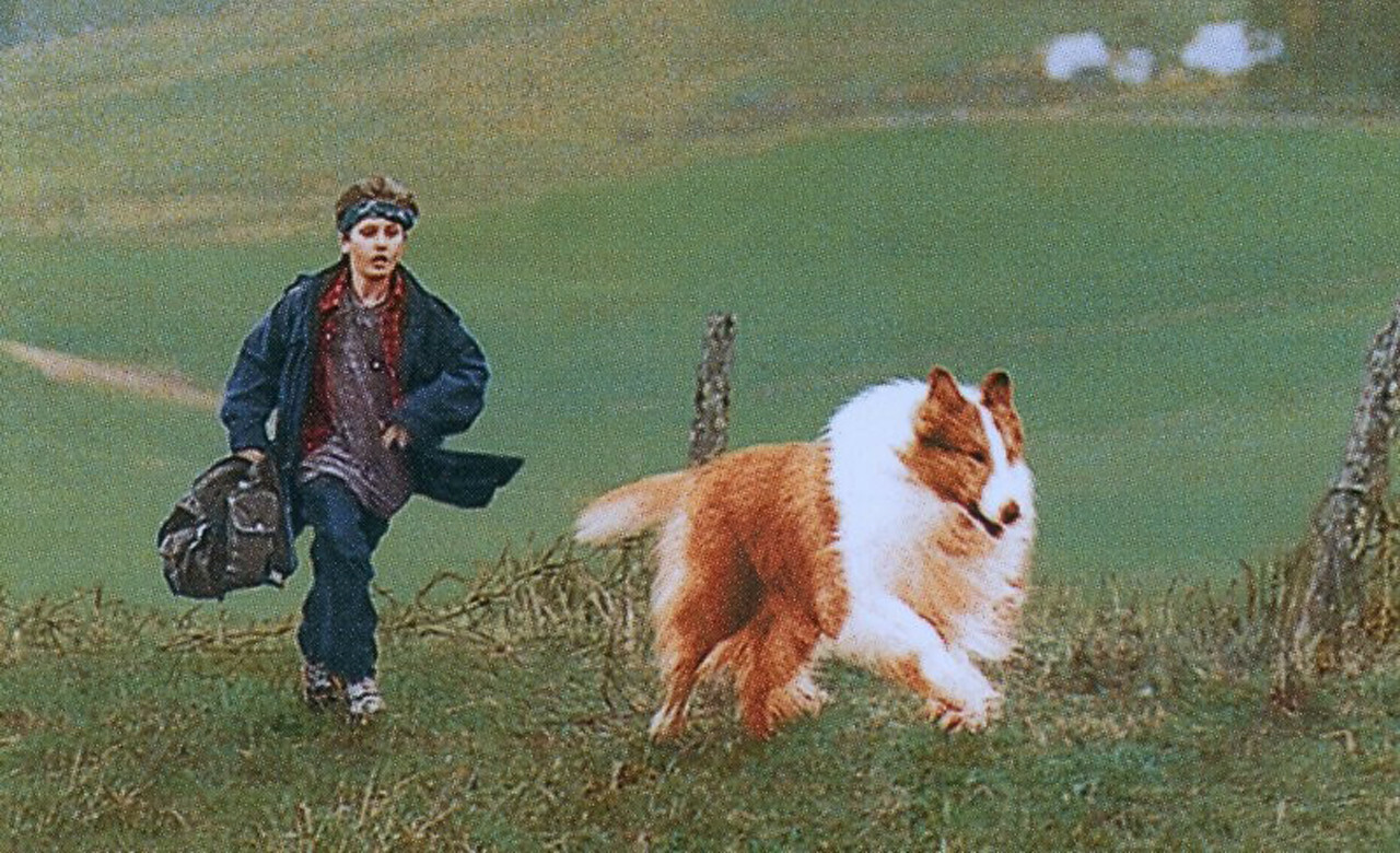 Lassie Un Film De 1994 Vodkaster