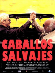 Caballos salvajes