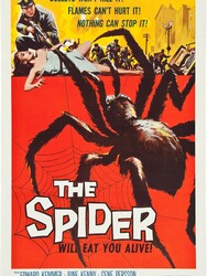 The Spider