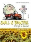 Small Is Beautiful