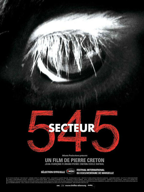 Secteur 545