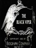 The Black Viper