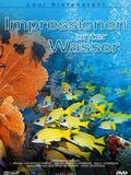 Impressionen unter Wasser