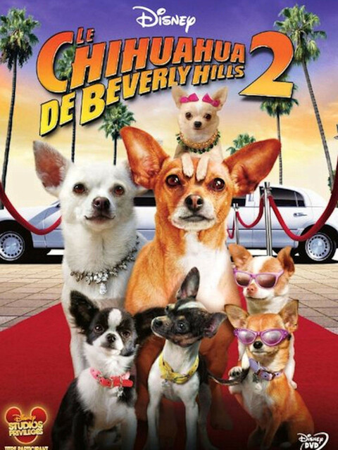 Le Chihuahua De Beverly Hills 2