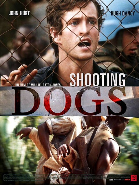 Shooting dogs