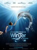 L'Incroyable histoire de Winter le dauphin