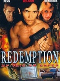 Redemption : Un flic en enfer