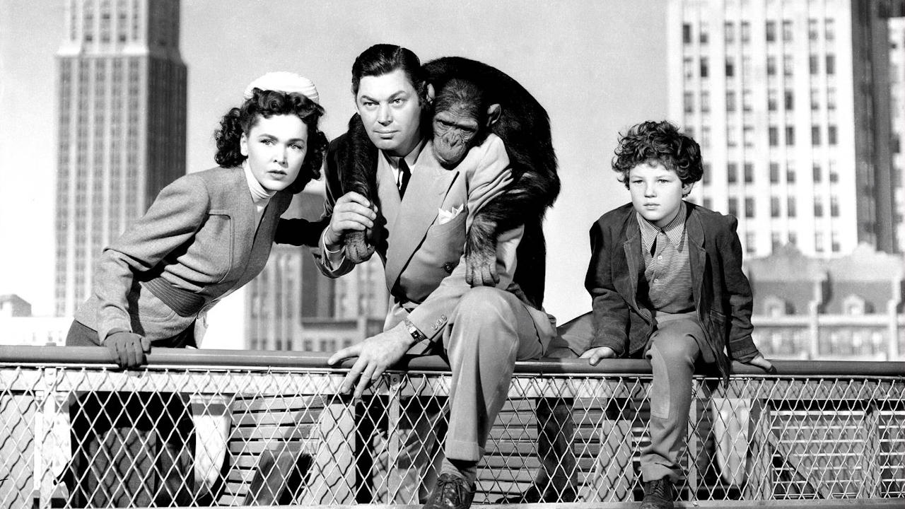 Les Aventures de Tarzan à New York, un film de 1942 - Vodkaster - Les Aventures De Tarzan à New York