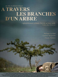 À travers les branches d'un arbre