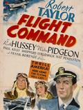 Flight command