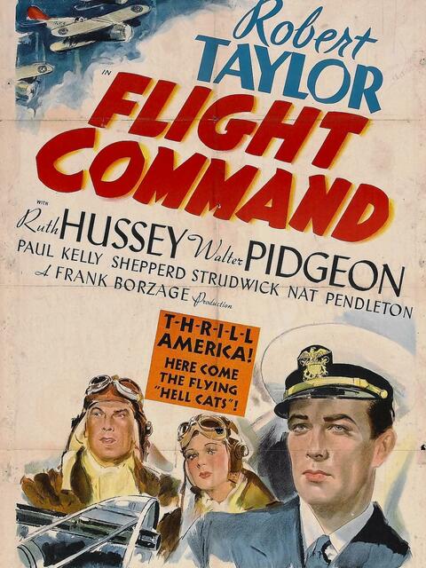Flight command