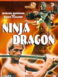 Ninja Dragon