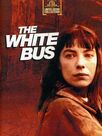 The White bus