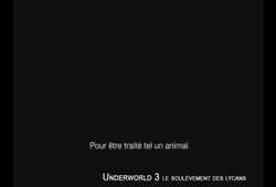 bande annonce de Underworld 3 : le soulèvement des Lycans