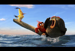 bande annonce de Angry Birds