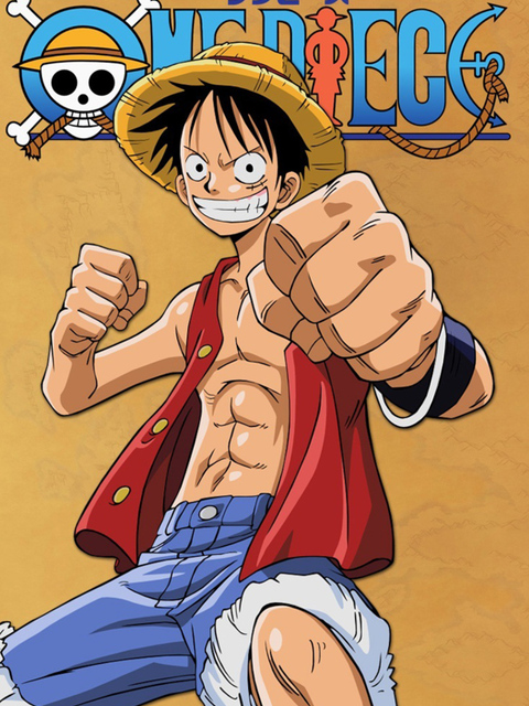 One Piece - Série TV 1999 - AlloCiné
